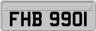 FHB9901