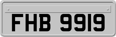 FHB9919