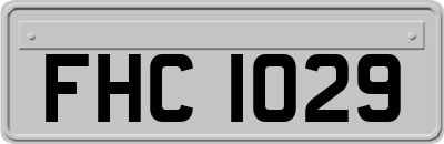 FHC1029