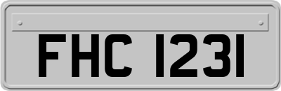 FHC1231