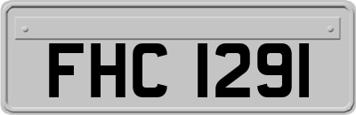 FHC1291