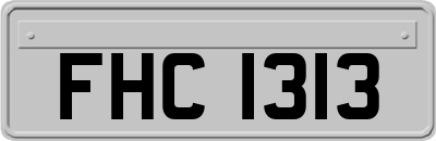 FHC1313