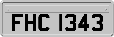 FHC1343