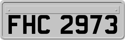 FHC2973