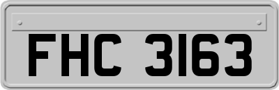 FHC3163