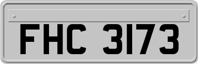 FHC3173
