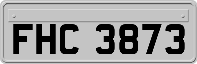 FHC3873