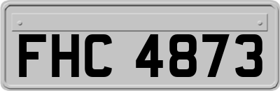 FHC4873