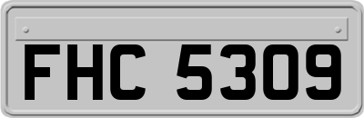 FHC5309