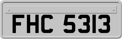 FHC5313