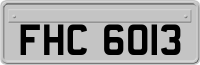 FHC6013