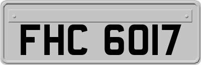 FHC6017