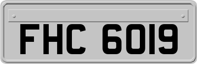 FHC6019