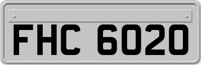 FHC6020