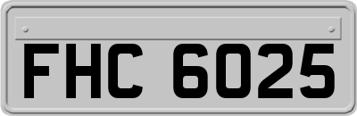 FHC6025