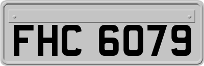 FHC6079