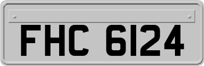 FHC6124