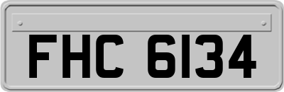 FHC6134