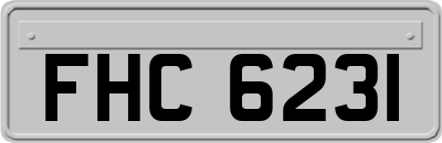FHC6231