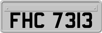 FHC7313