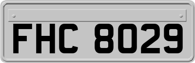 FHC8029