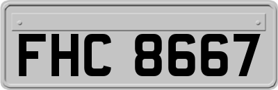 FHC8667