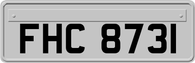 FHC8731