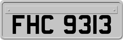 FHC9313