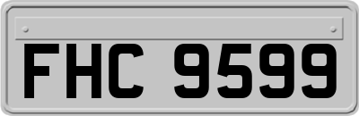 FHC9599