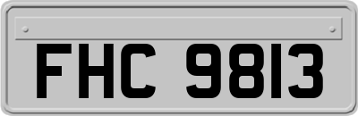 FHC9813