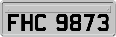 FHC9873