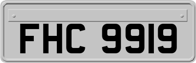 FHC9919