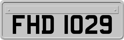 FHD1029