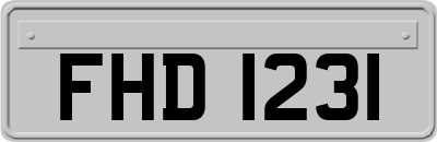 FHD1231