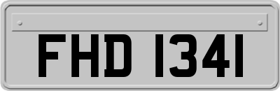 FHD1341