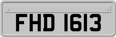 FHD1613