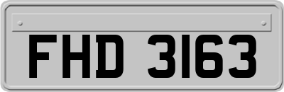 FHD3163