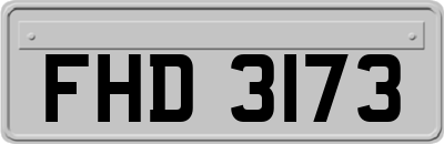 FHD3173