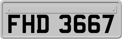 FHD3667