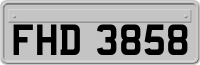 FHD3858