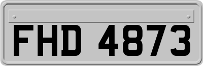 FHD4873