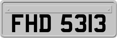 FHD5313