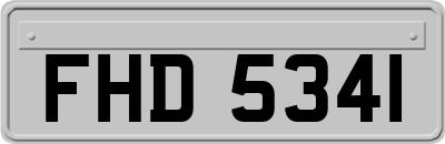 FHD5341