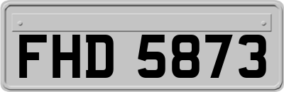 FHD5873