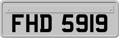 FHD5919