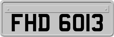 FHD6013