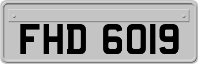 FHD6019