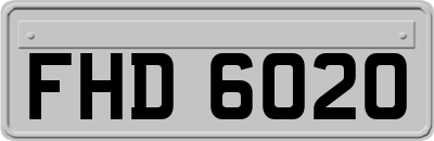 FHD6020