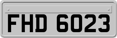 FHD6023