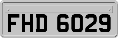 FHD6029